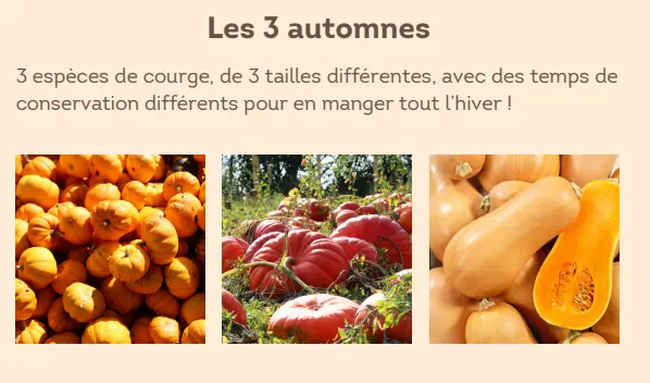 Capture d'écran 2026-02-17 173024.webp