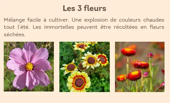 Capture d'écran 2026-02-17 173027.webp