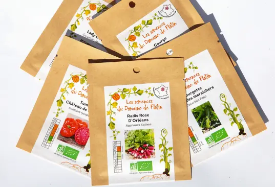 Capture d'écran 2026-02-17 180311.webp