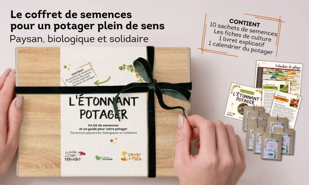 Boite etonnant potager.webp