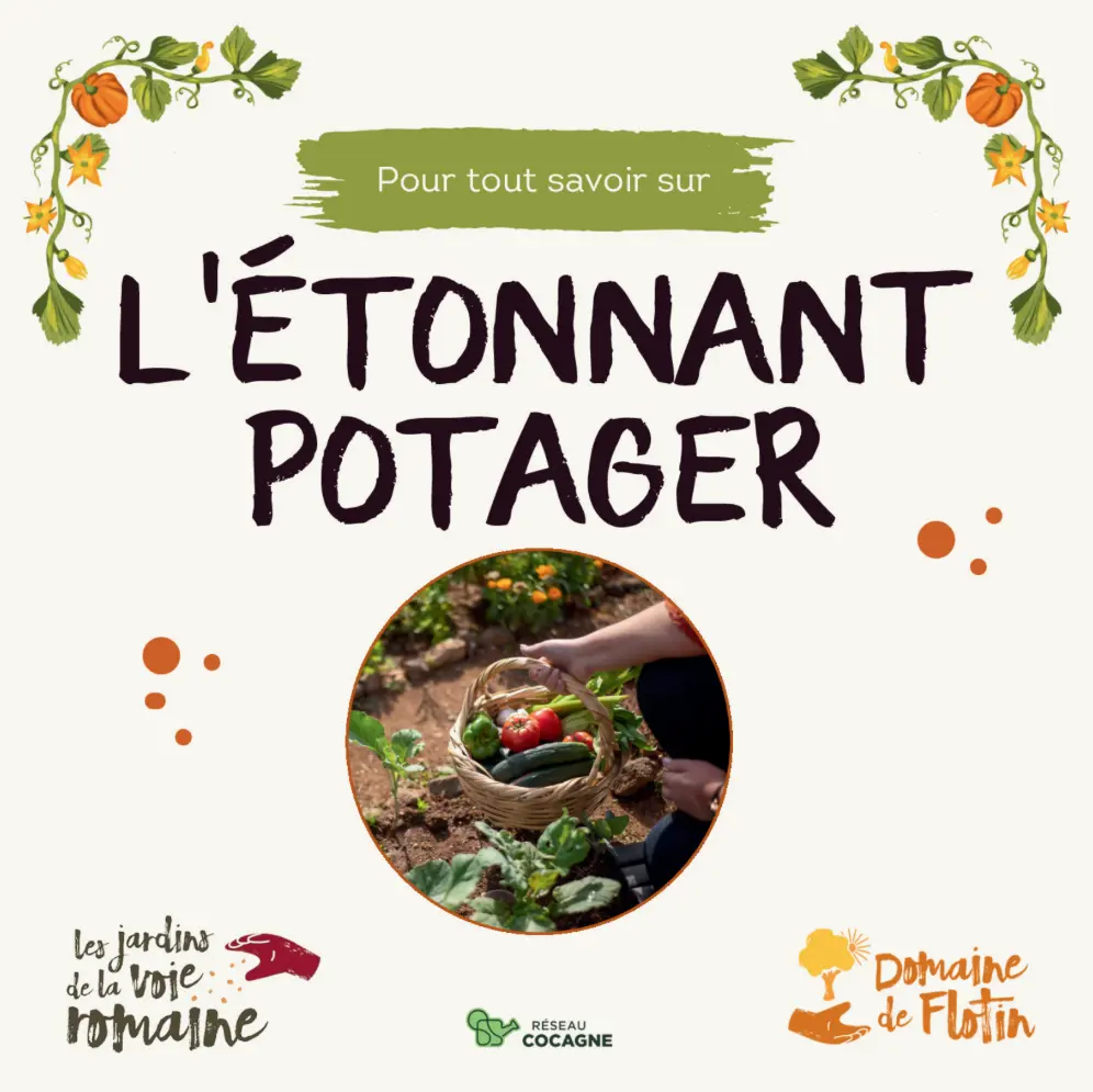 Capture d'écran 2026-02-17 191014.webp