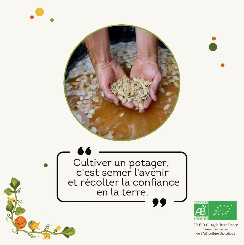 Capture d'écran 2026-02-17 191027.webp