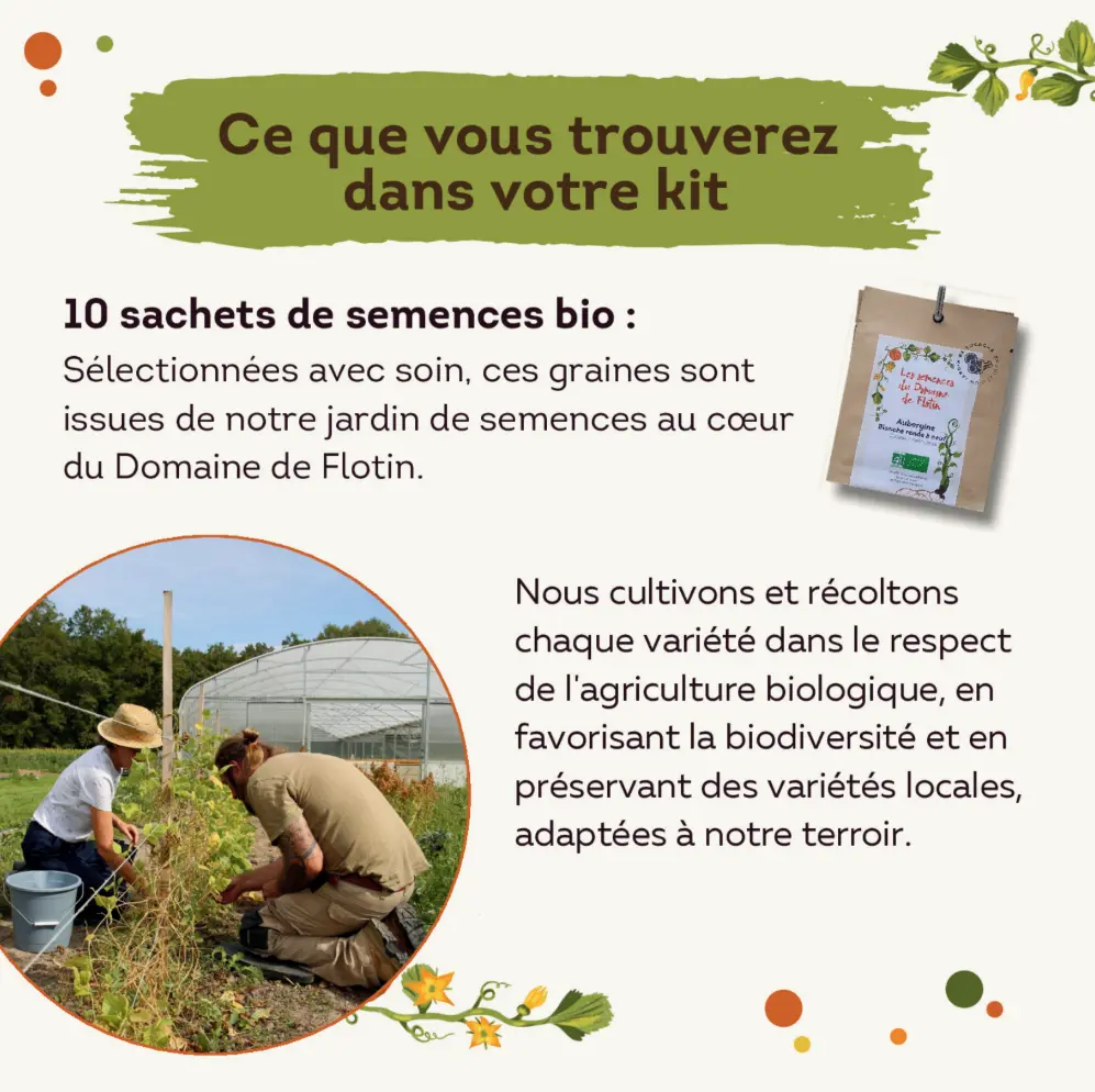 Capture d'écran 2026-02-17 191046.webp