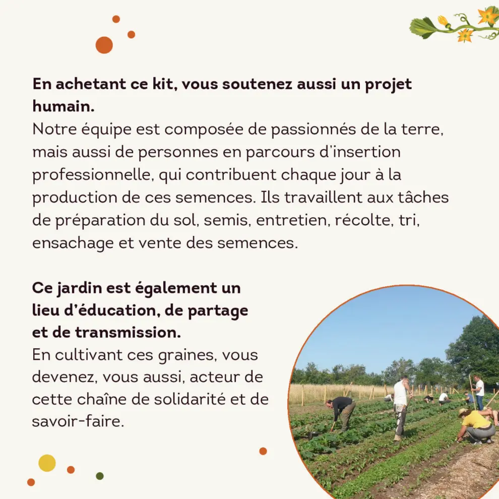 Capture d'écran 2026-02-17 191107.webp