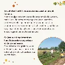 Capture d'écran 2026-02-17 191107.webp