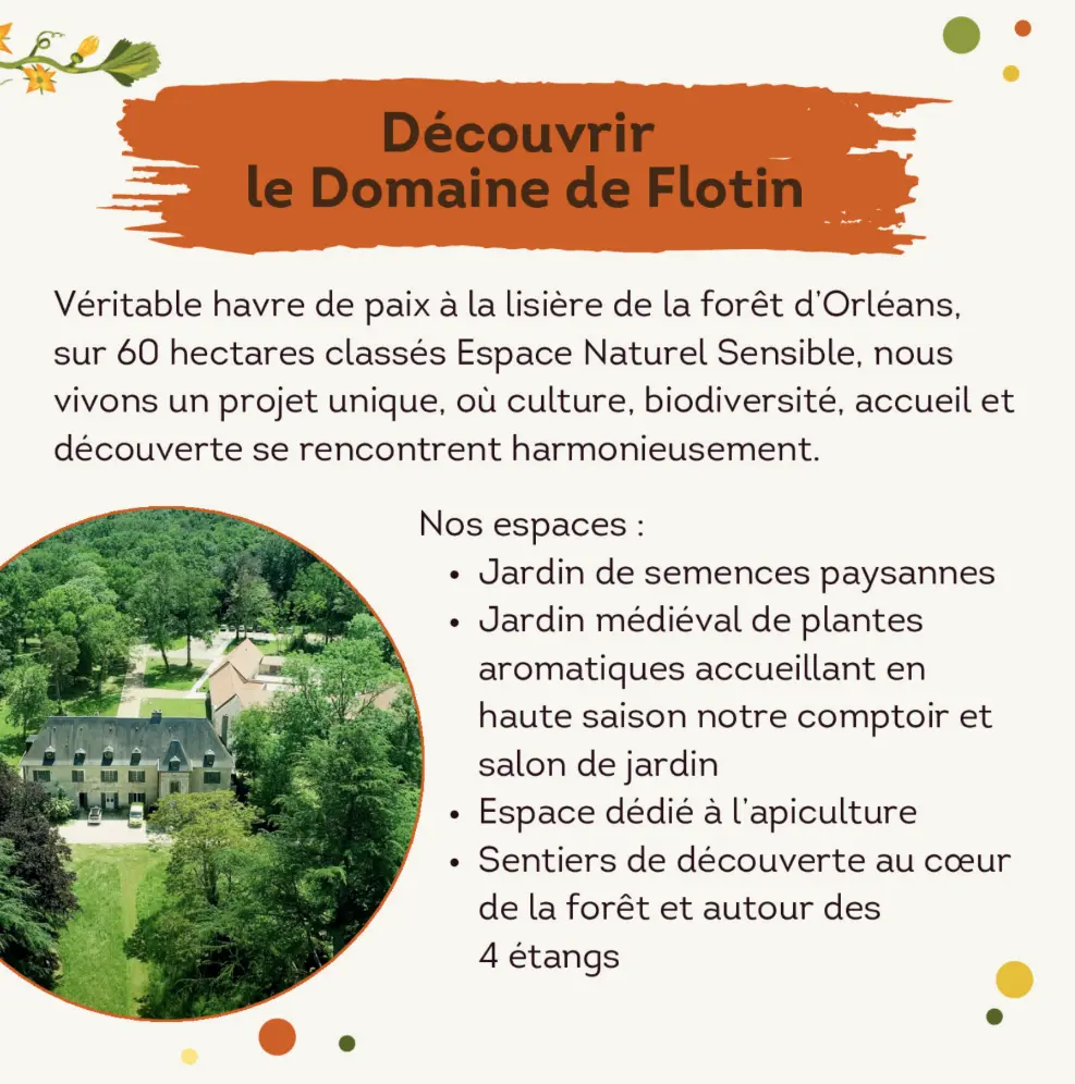 Capture d'écran 2026-02-17 191113.webp