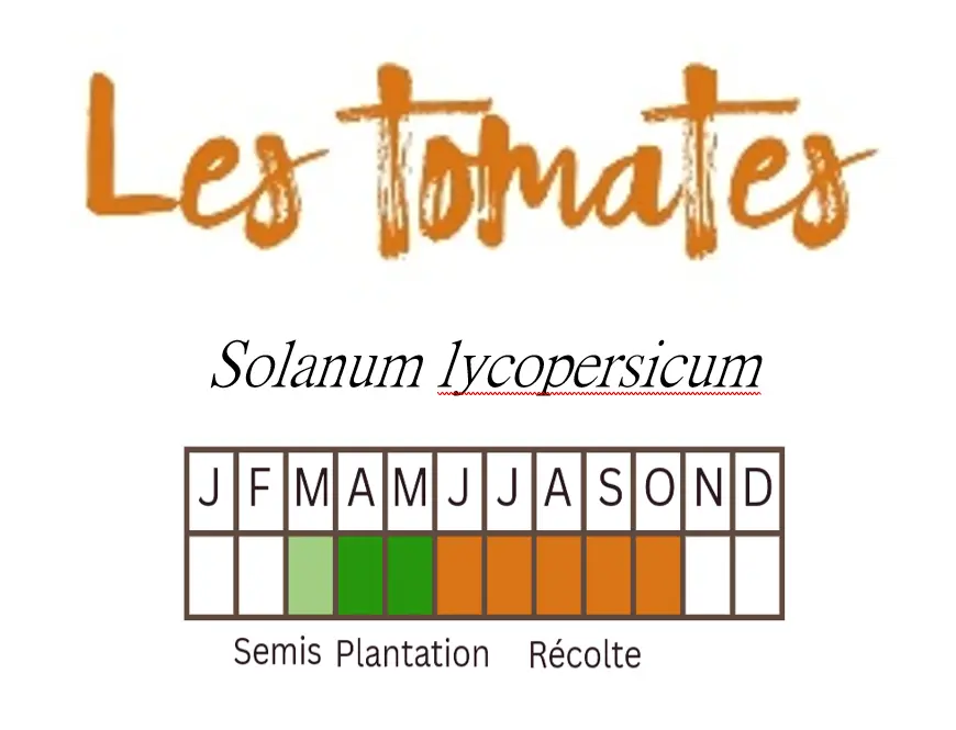 Capture d'écran 2026-01-03 085358.webp