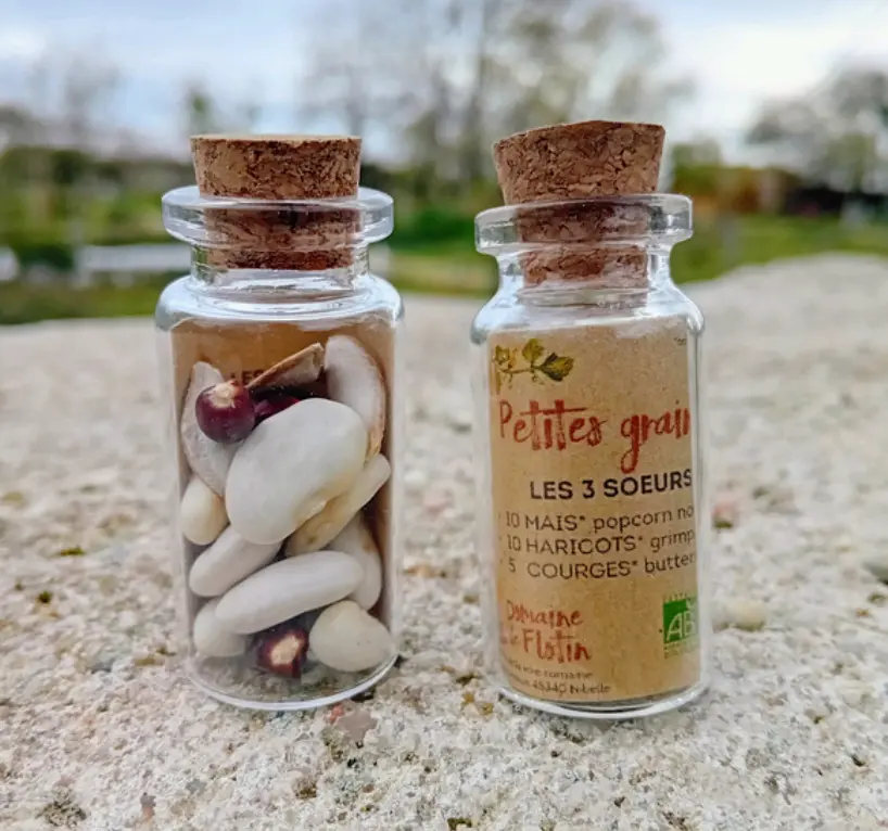 Pack revendeur - Les fioles de petites graines